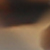 schildpad