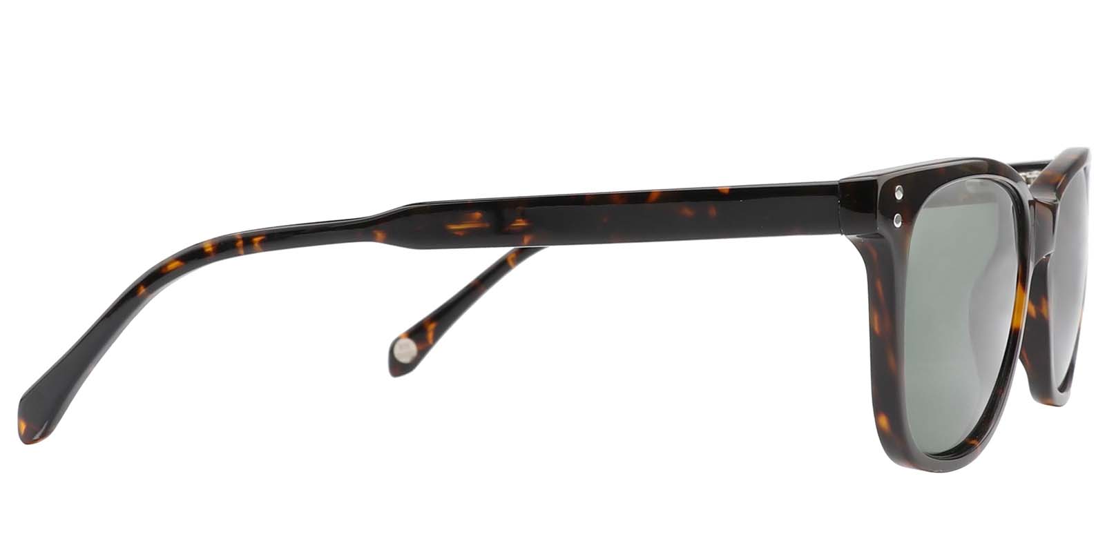 EYE8003S-Grefor-schildpad