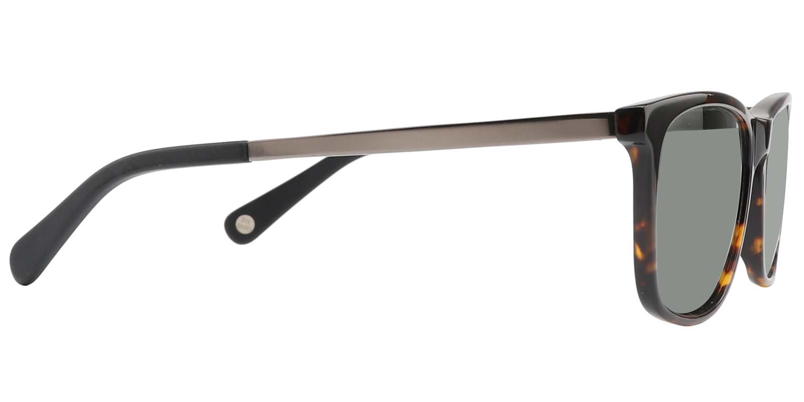 EYE8008S-Matour-schildpad