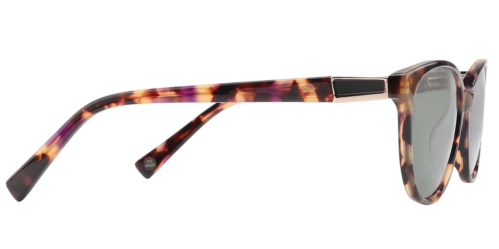 EYE8081S-Chetina-schildpad