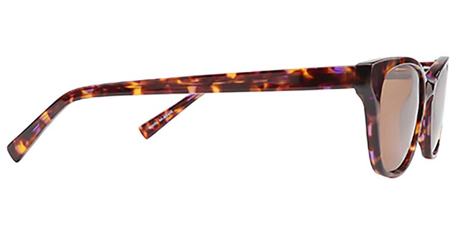 EYE8510S-Halina-schildpad