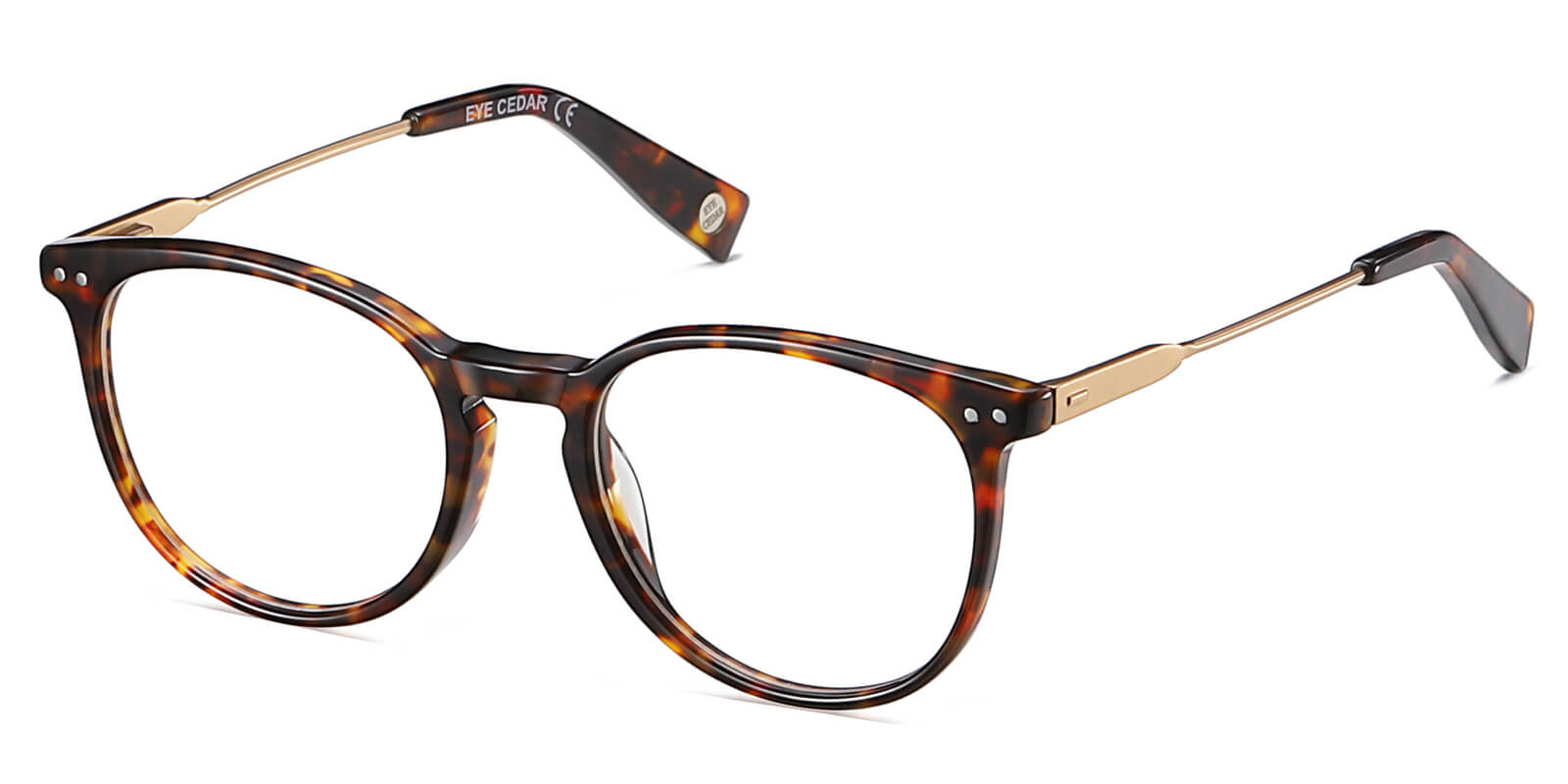 EYE8072-2-Canne-schildpad