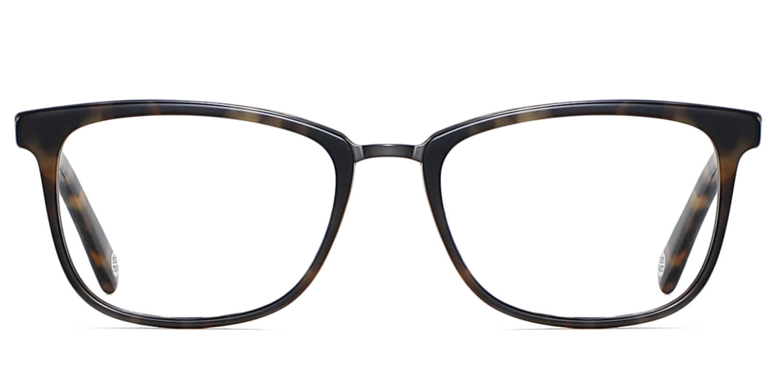 EYE8069-1-Willens-donker