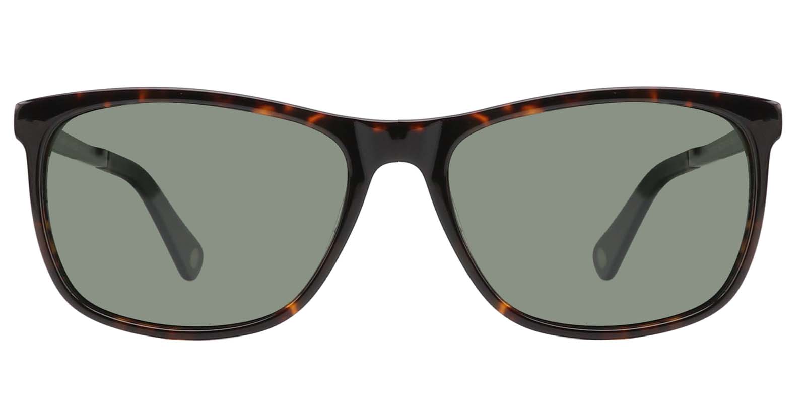 EYE8008S-Matour-schildpad