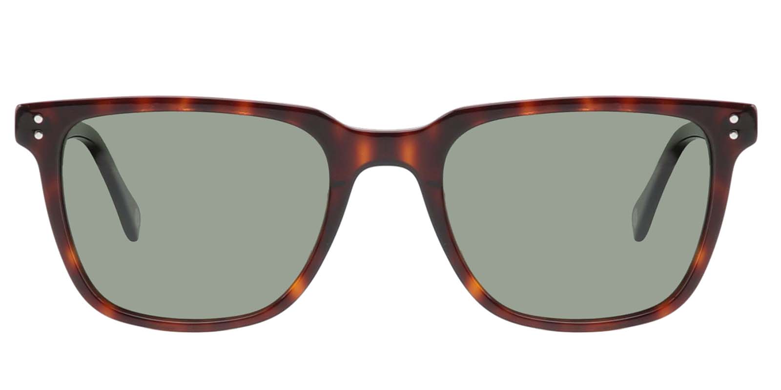 EYE8070-2S-Selecten-schildpad