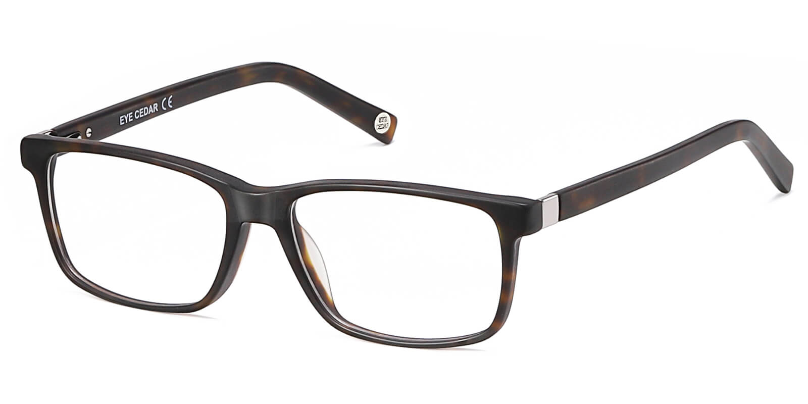 EYE8076-Sttin-schildpad