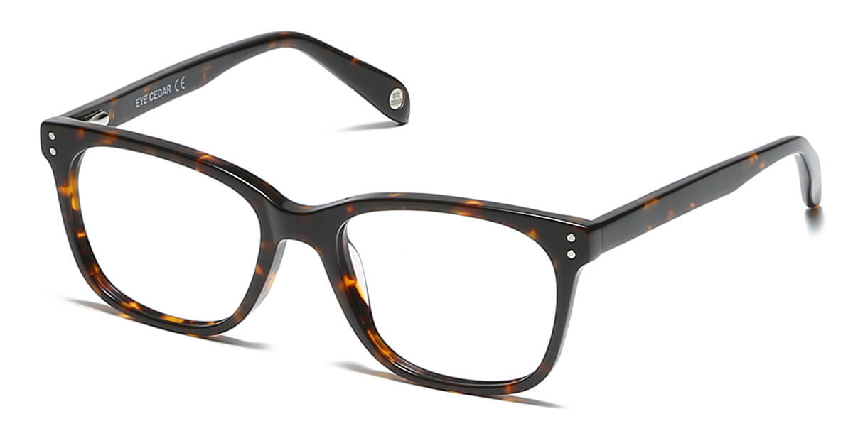 EYE8001-1-Dorian-schildpad