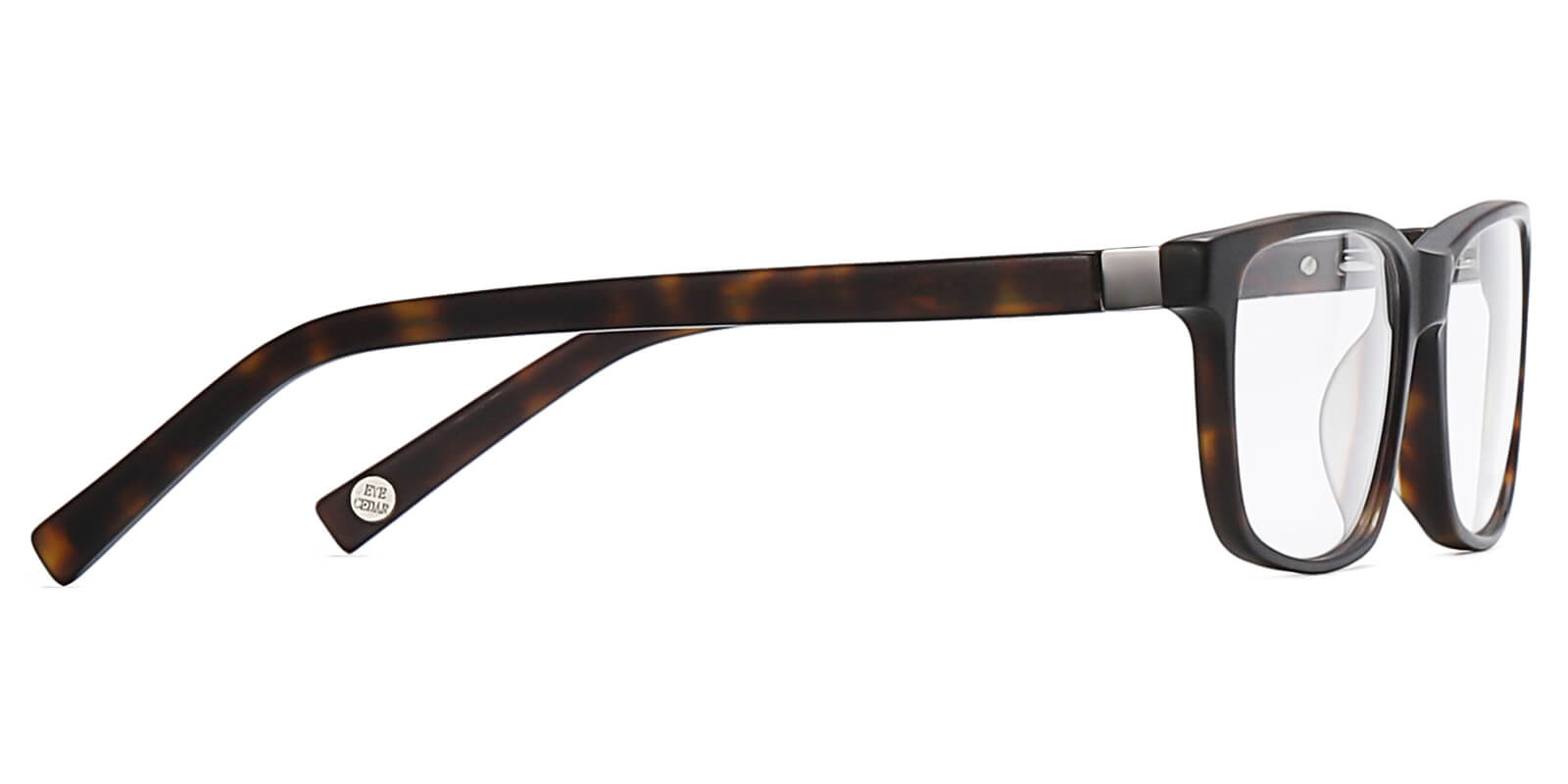 EYE8076-Sttin-schildpad