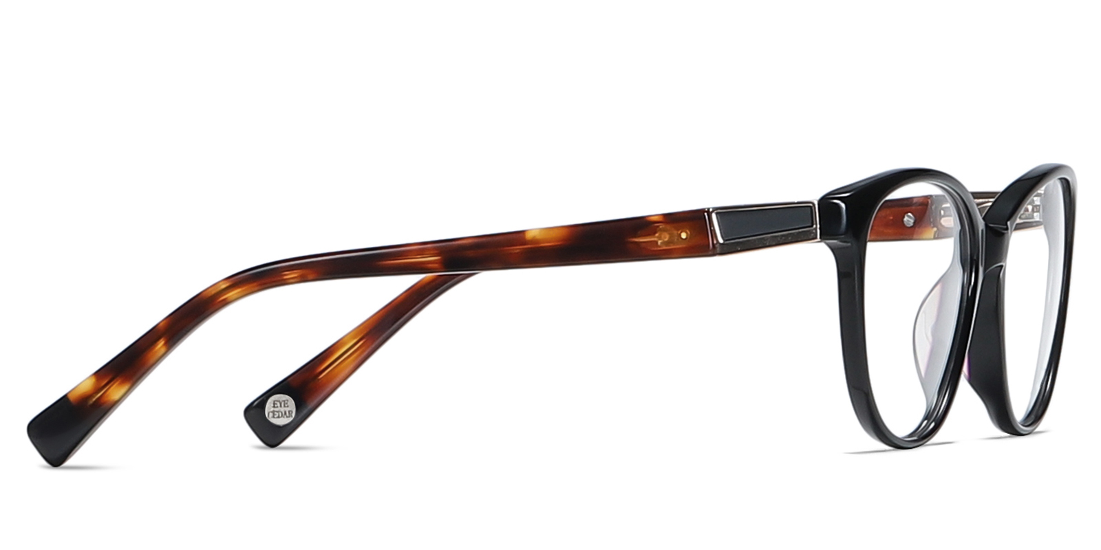 EYE8081-1-Chechin-schildpad