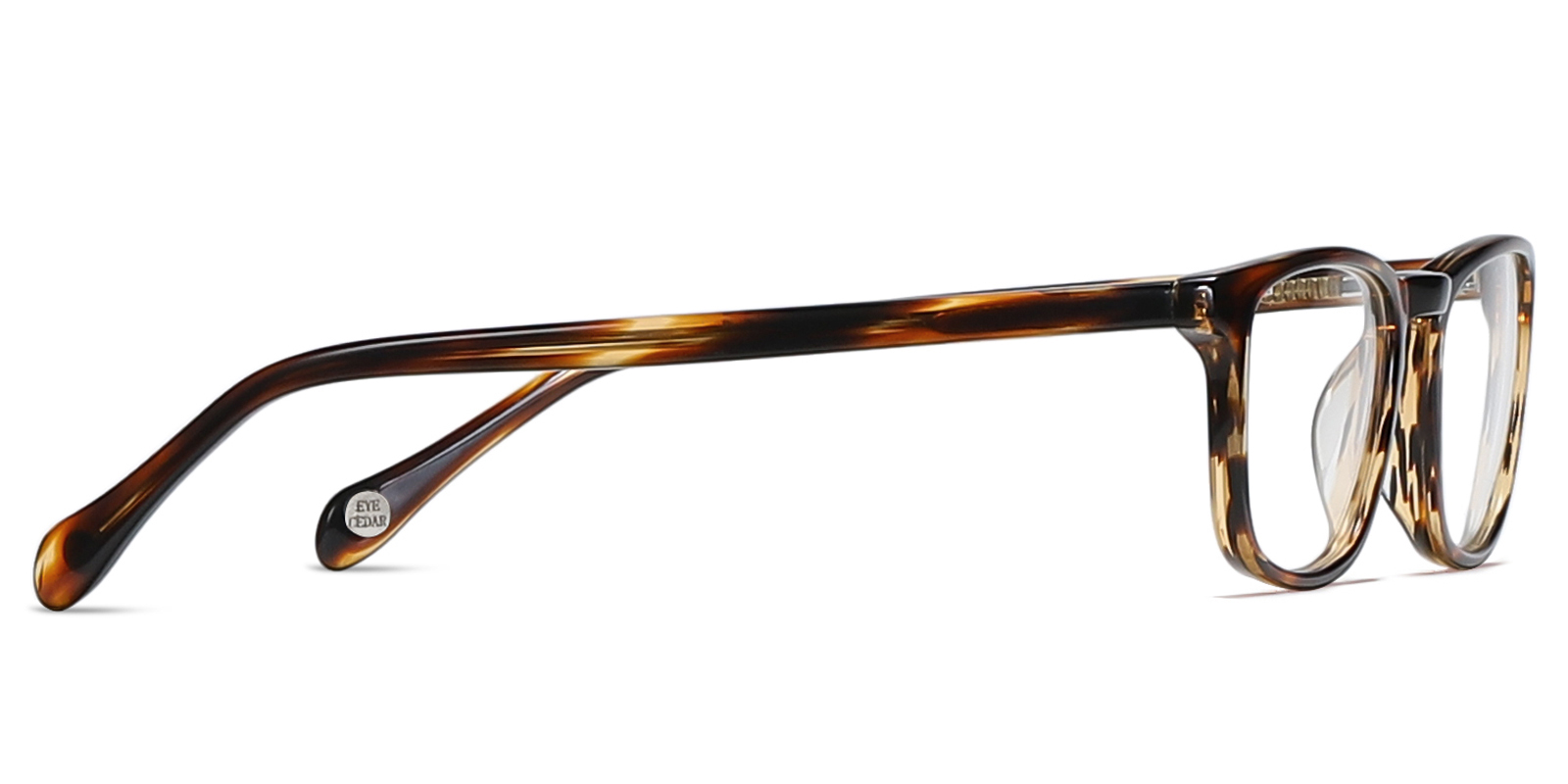 EYE8085-Swarn-schildpad