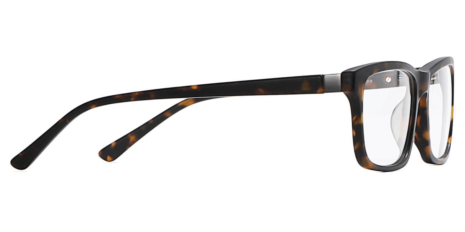 EYE8078-Sunth-schildpad