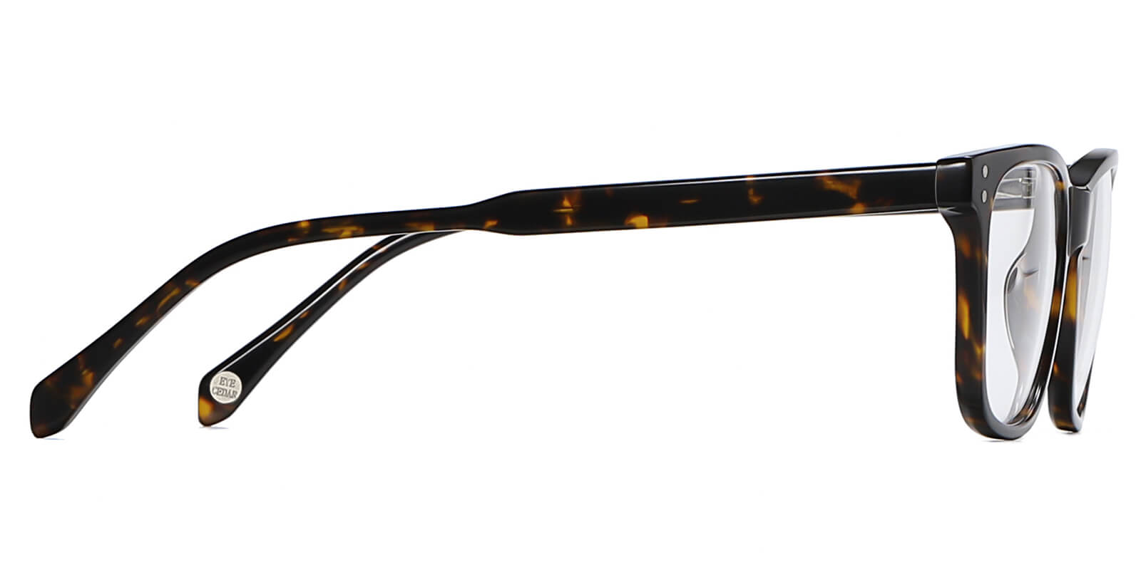 EYE8003-Grefor-schildpad