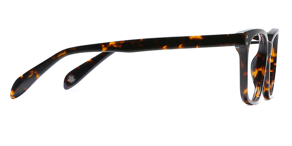 EYE8001-1-Dorian-schildpad