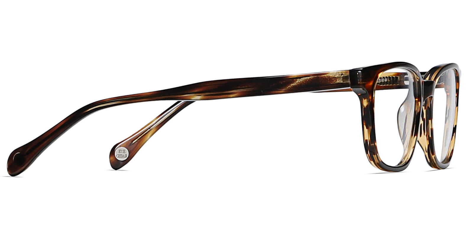 EYE8021-Blacle-schildpad