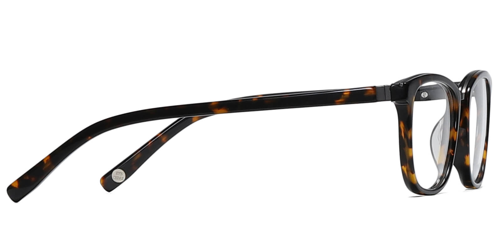 EYE8069-Willcern-schildpad