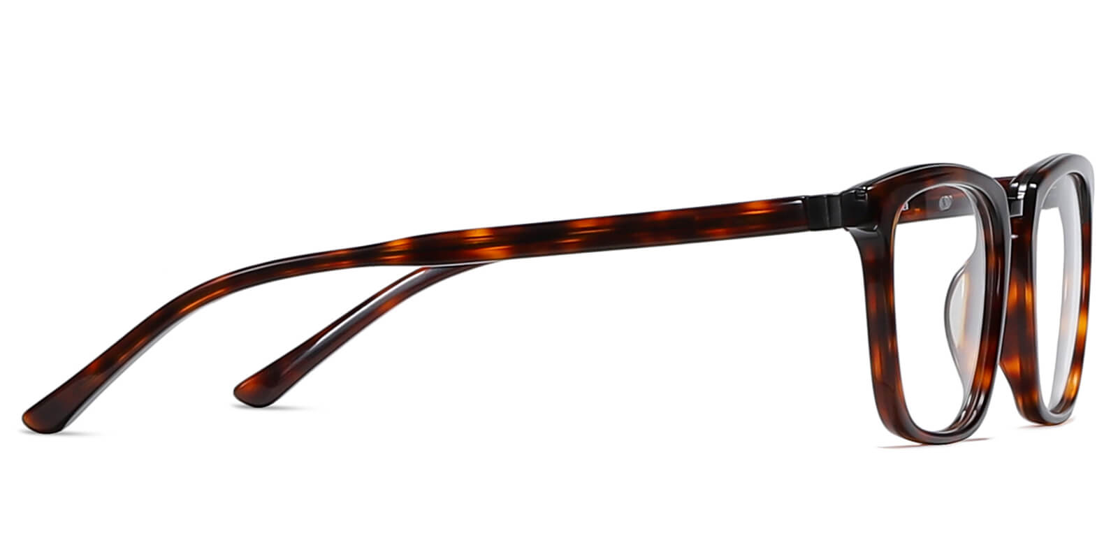 EYE8068-Diven-schildpad