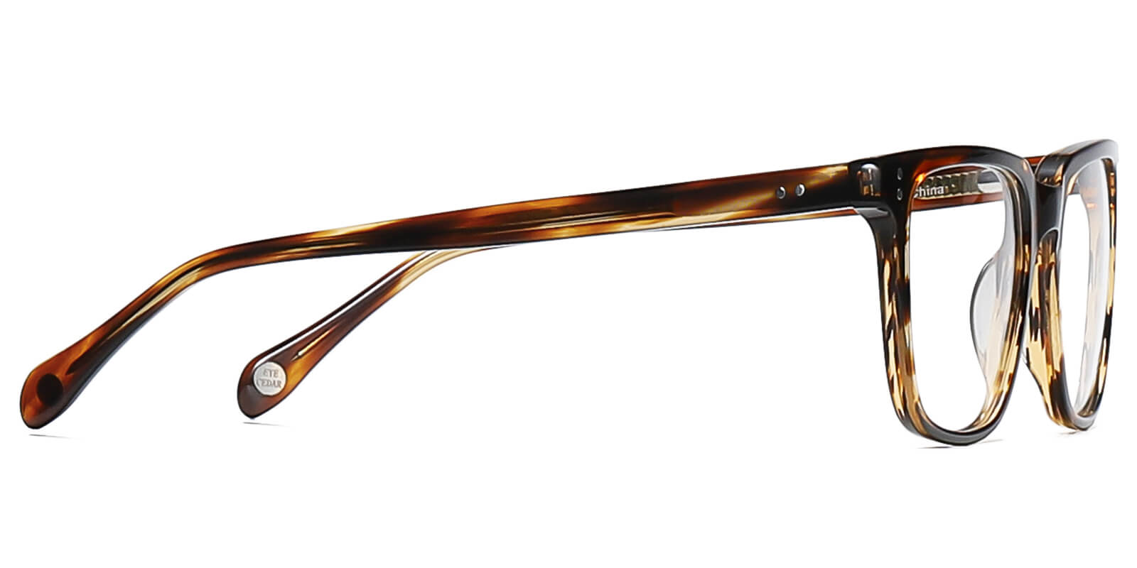 EYE8070-Selecten-schildpad