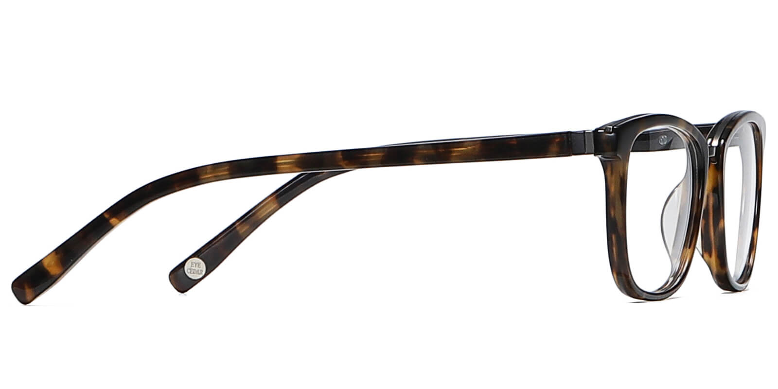 EYE8069-1-Willens-donker