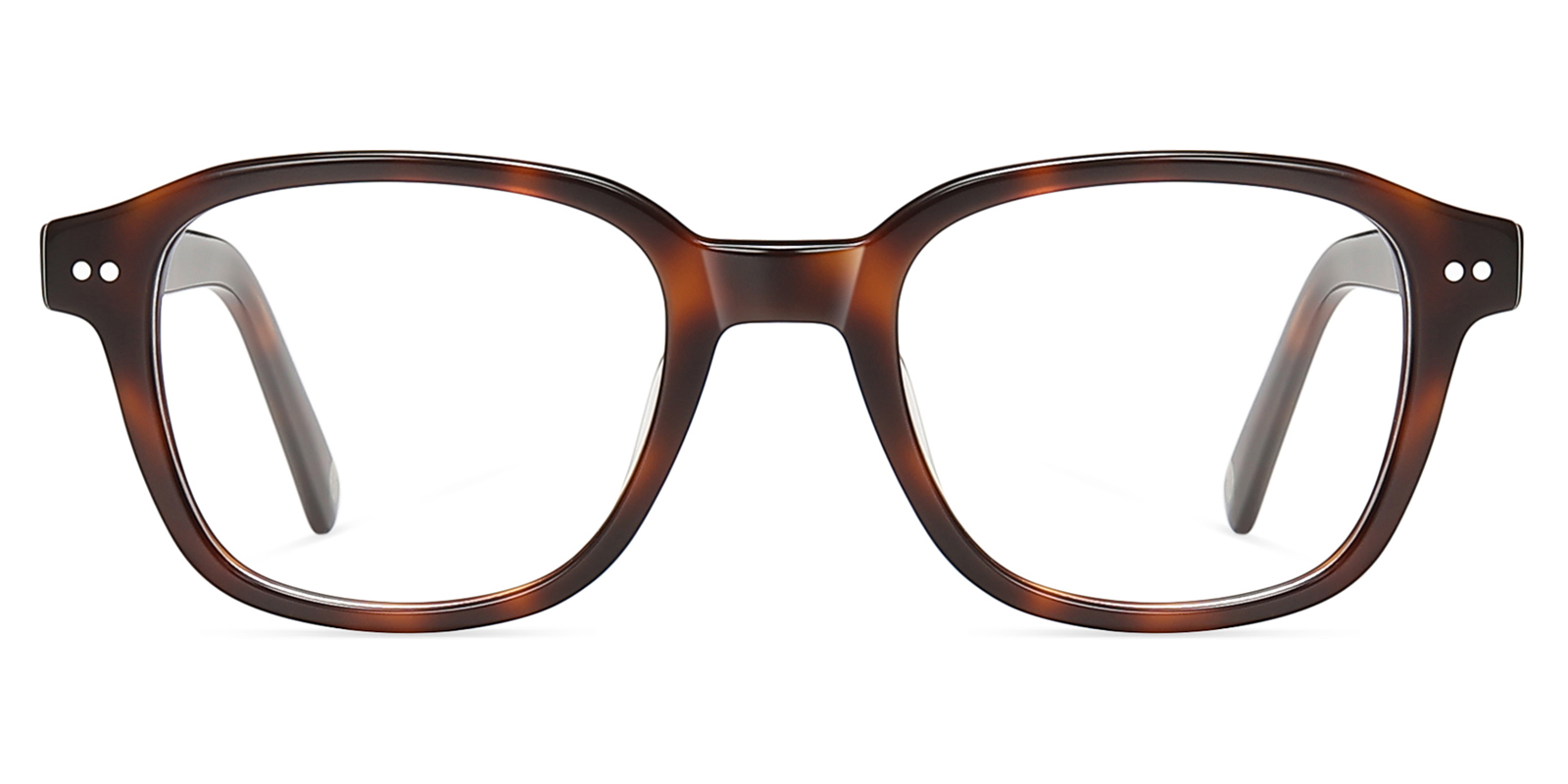 8982TL-Nevo-schildpad