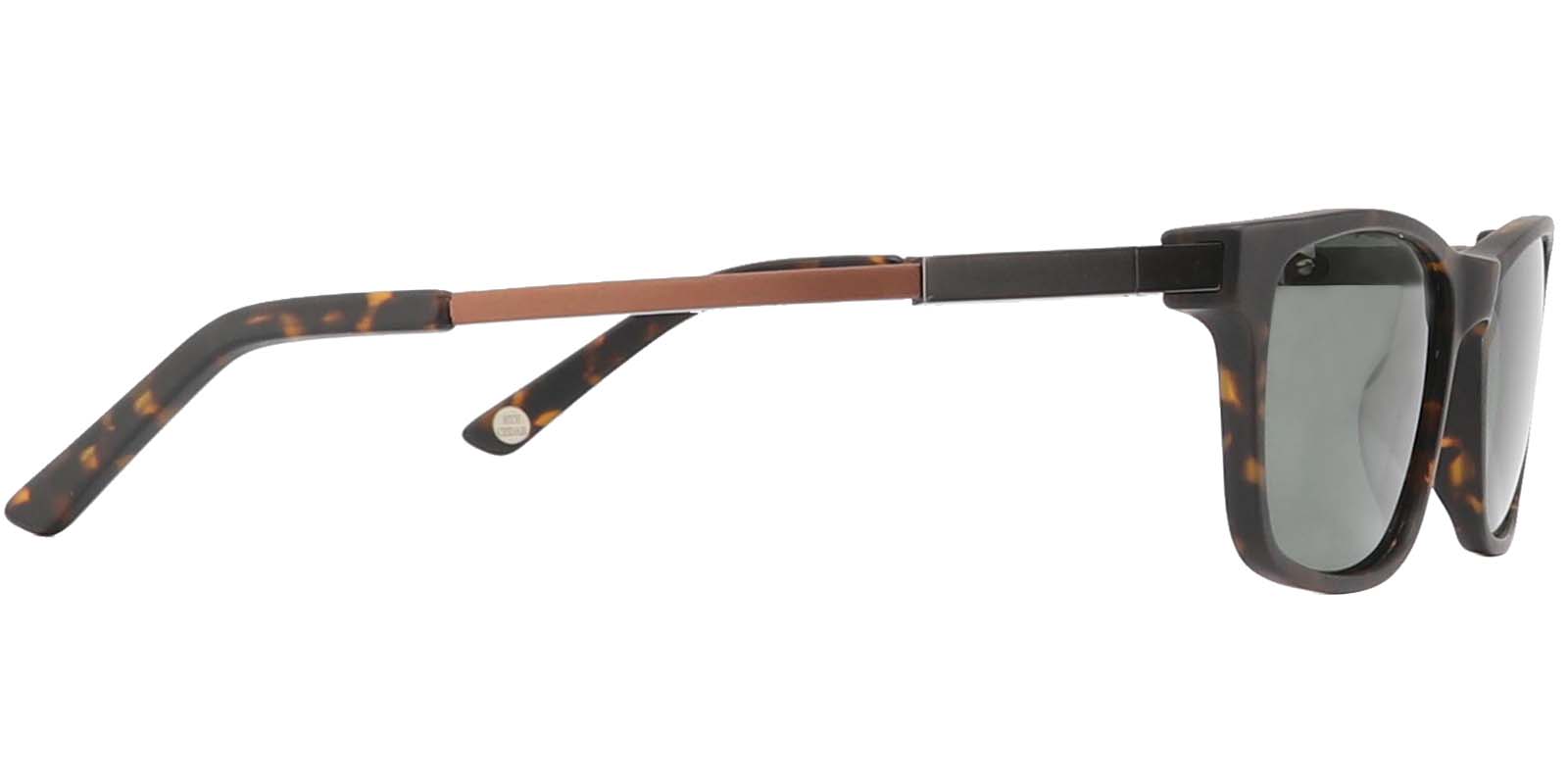 EYE8062S-Bligh-schildpad