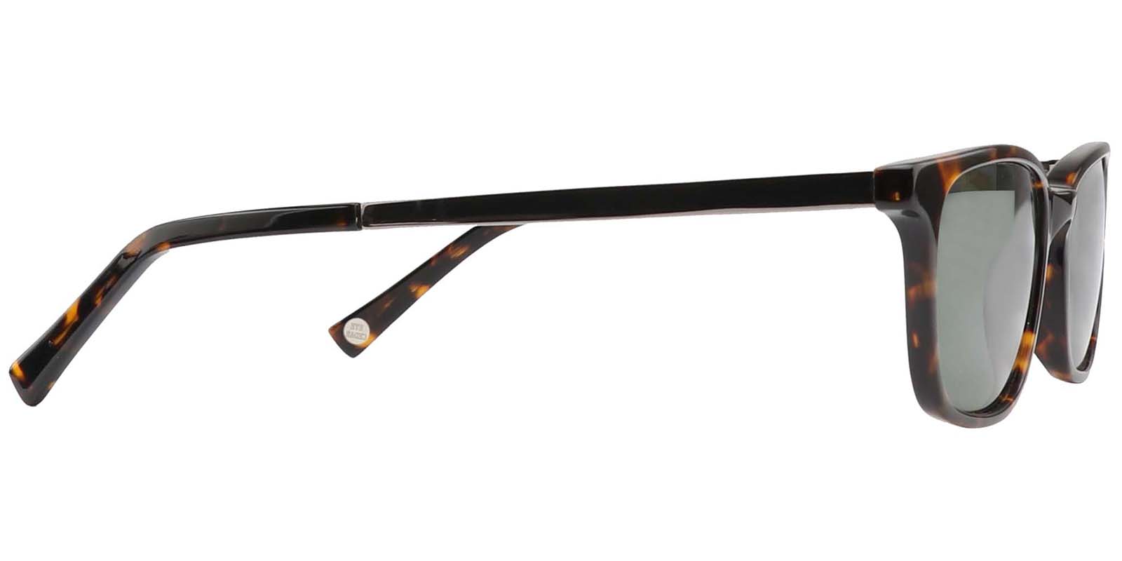 EYE8017-2S-Inkan -schildpad