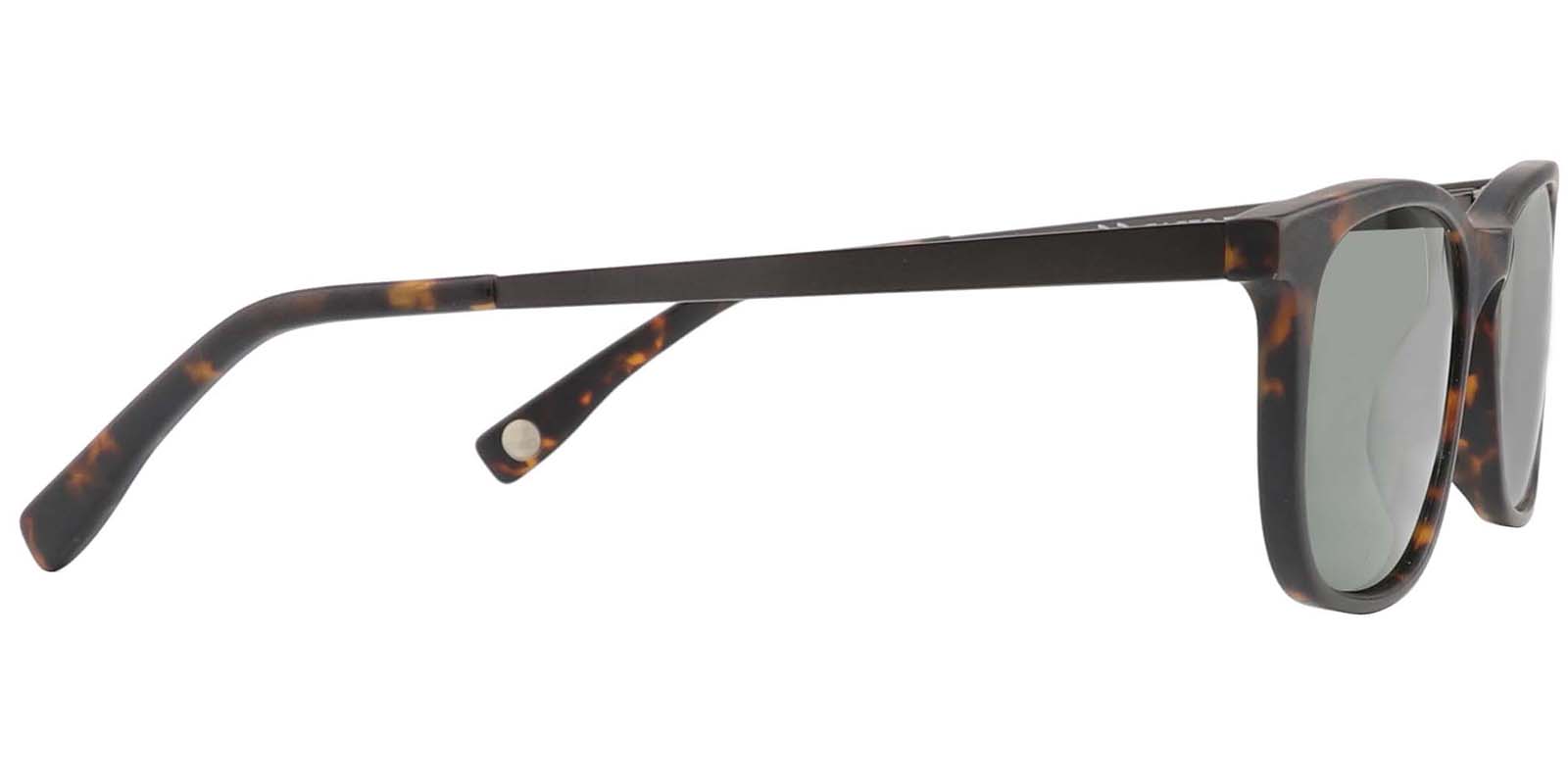 EYE8063S-Tiesan-schildpad