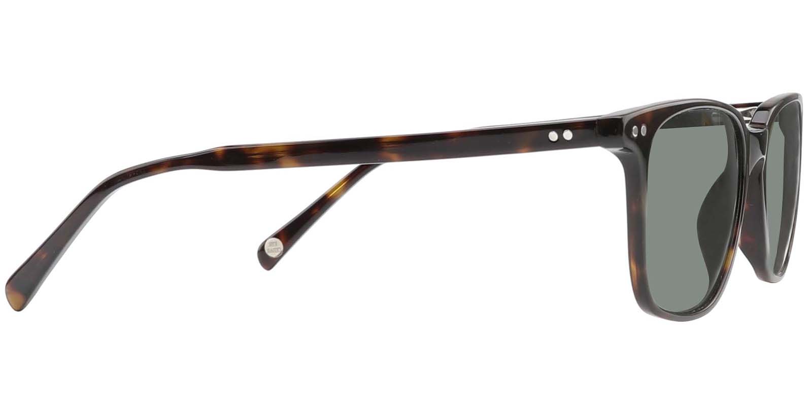 EYE8071S-Noirrin-schildpad