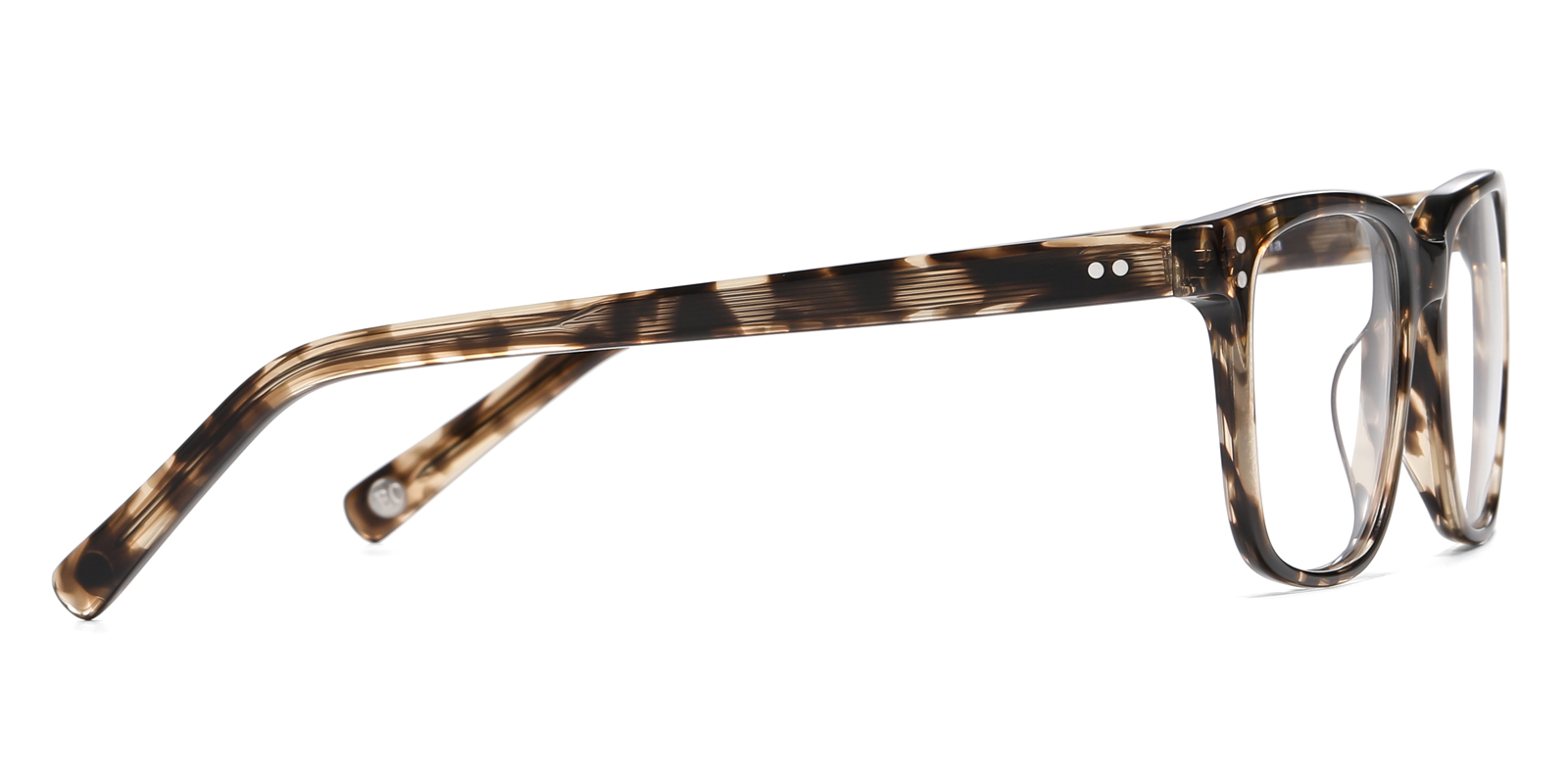 8986TL-Ogens-schildpad