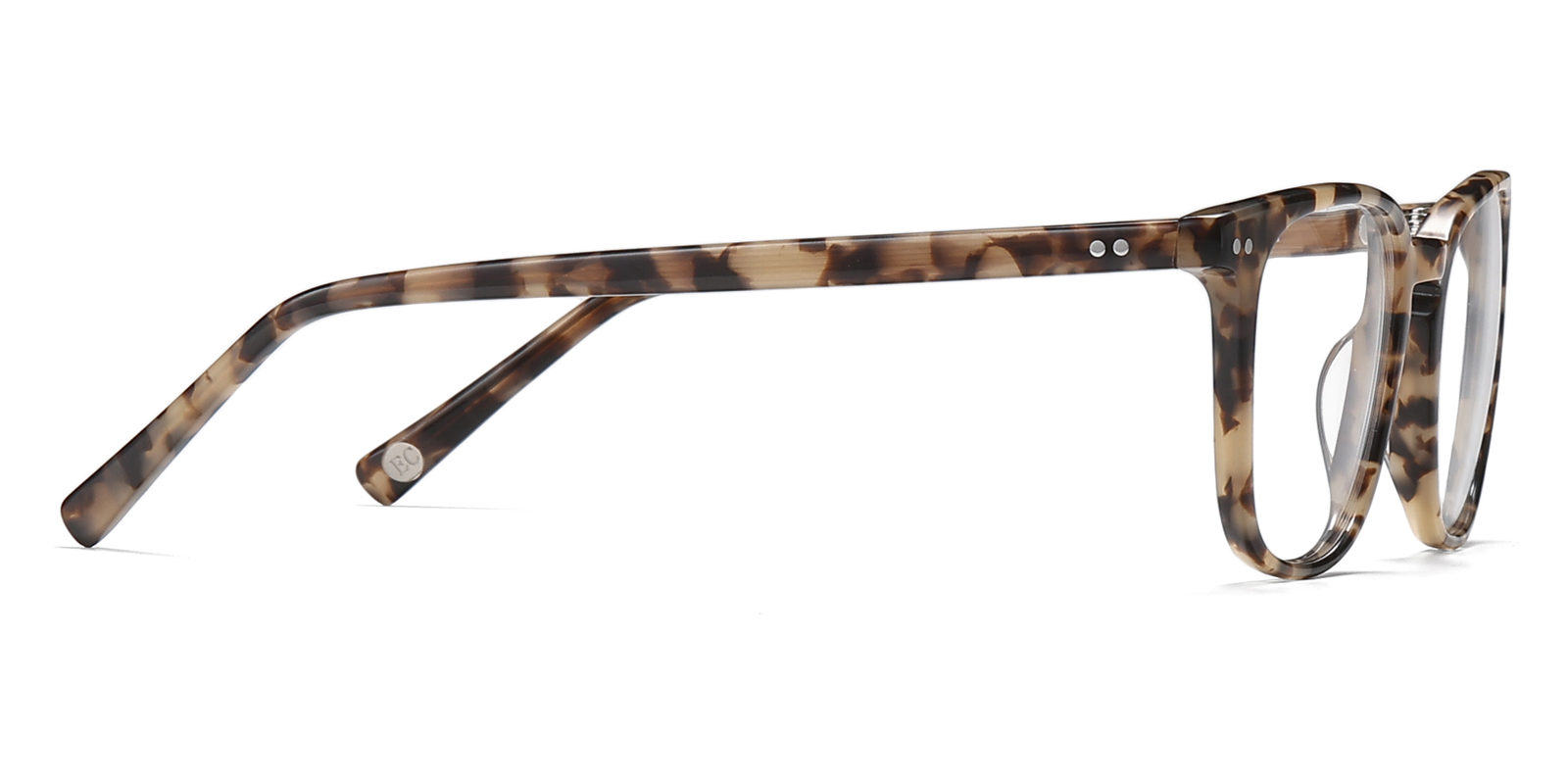 9881TL-Orwin-schildpad