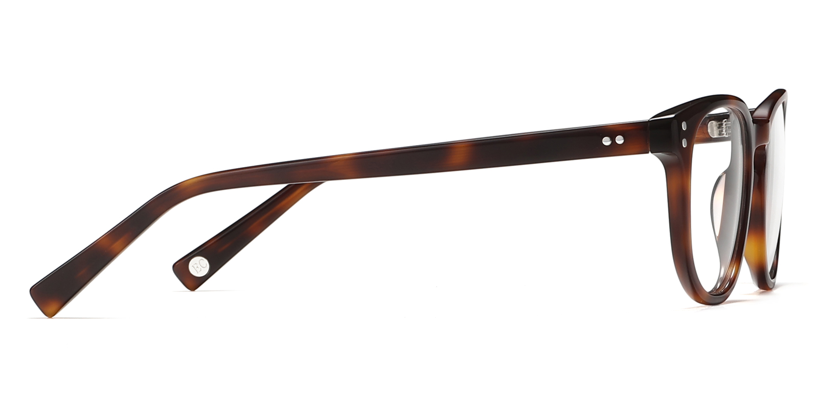 8995TL-Kodie-schildpad