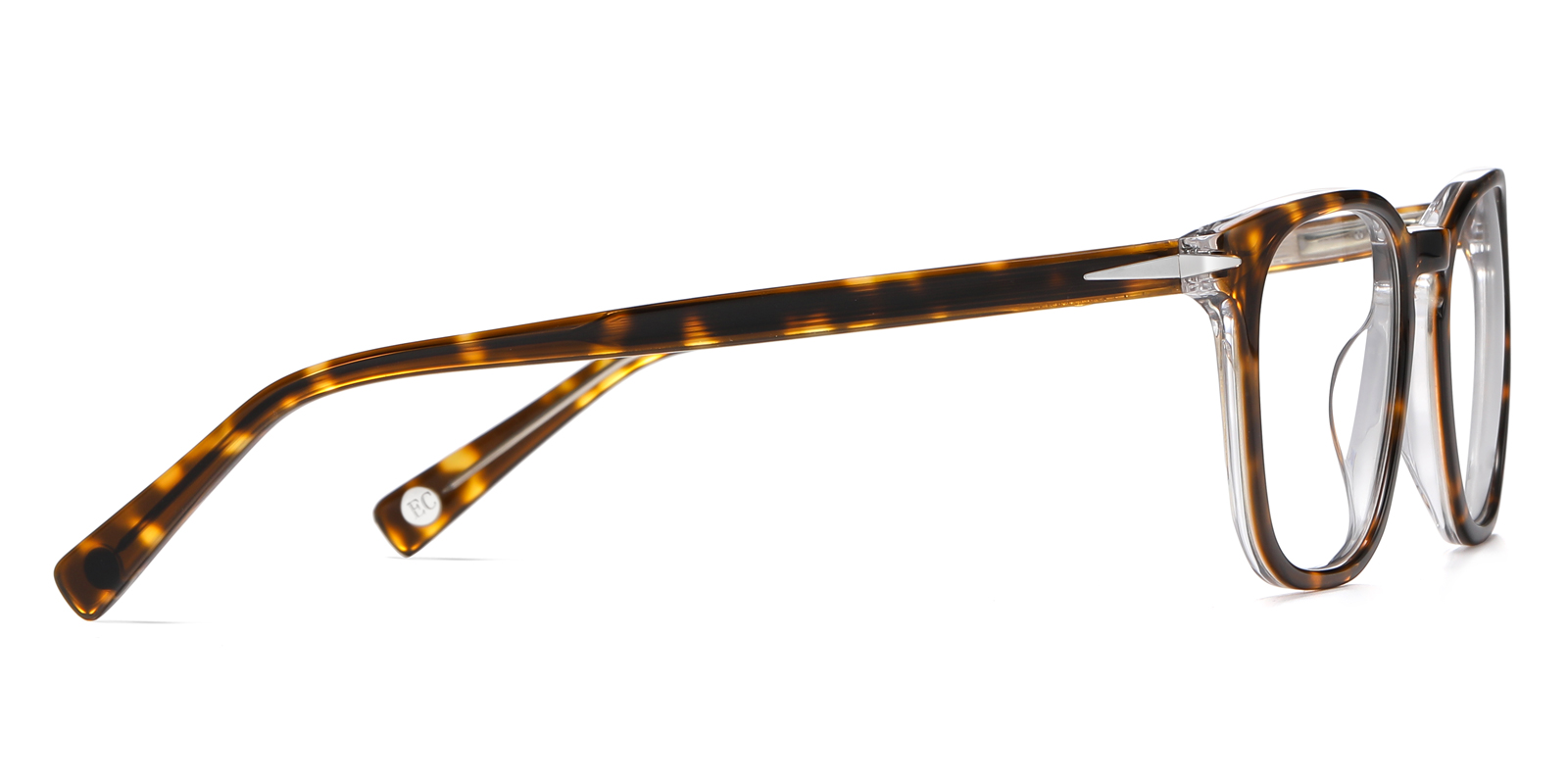 8896TO-Gaise-schildpad