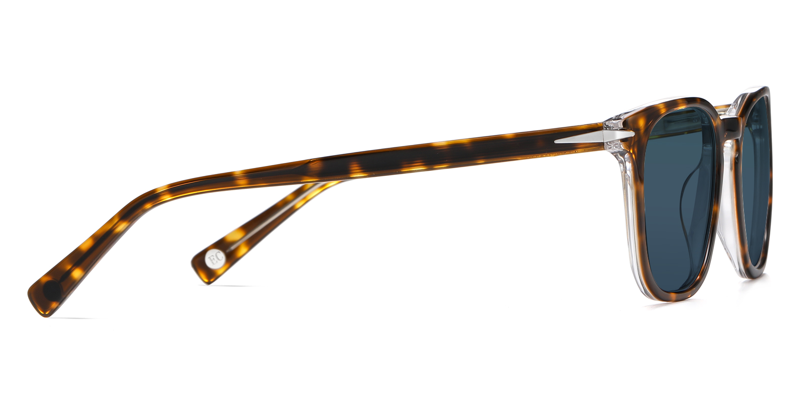 S8896TO-Gaise-schildpad