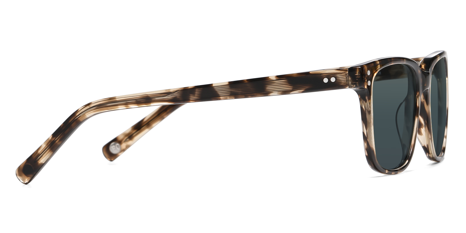 S8986TL-Ogens-schildpad