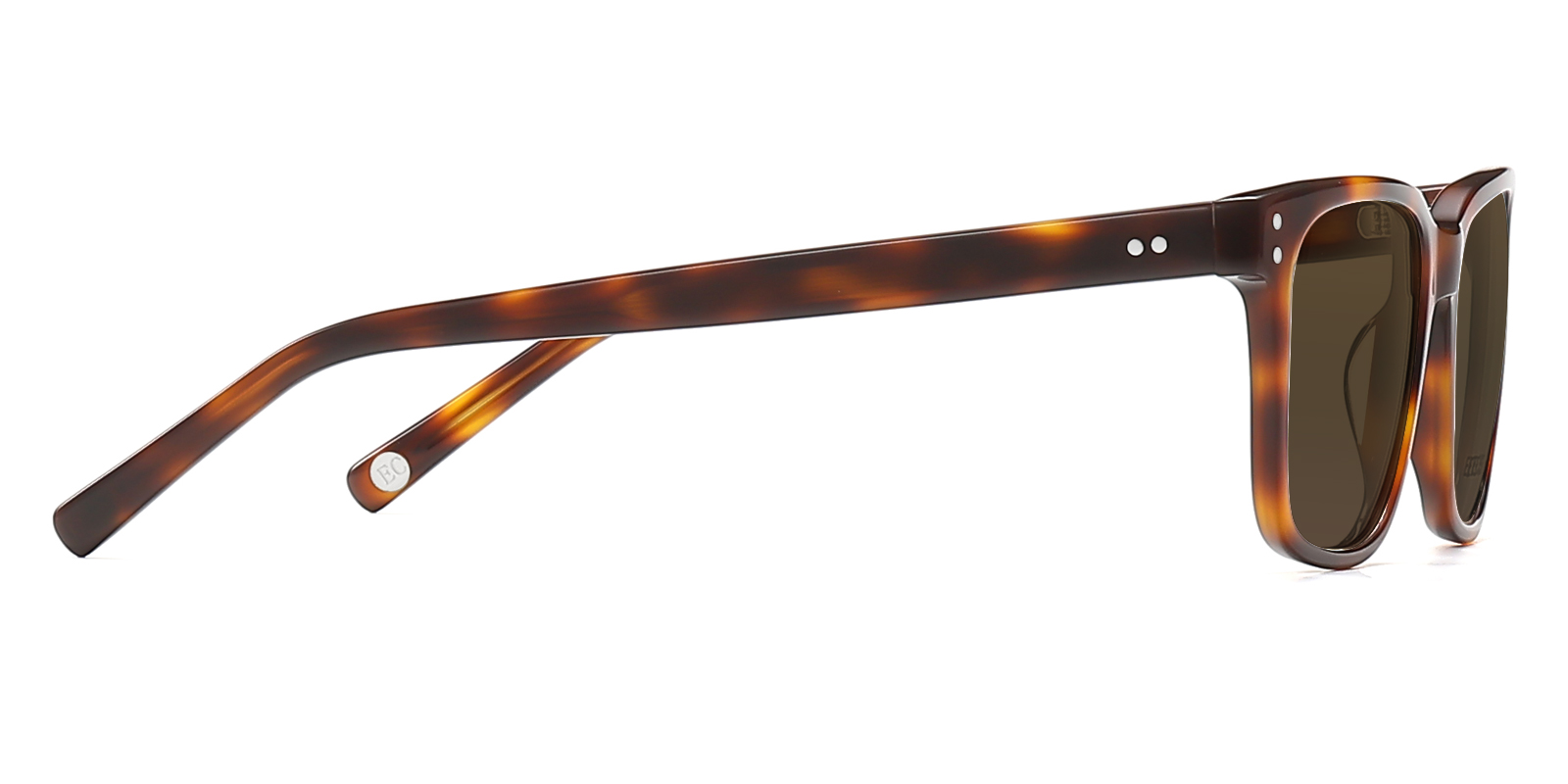 S8985TL-Duben-schildpad