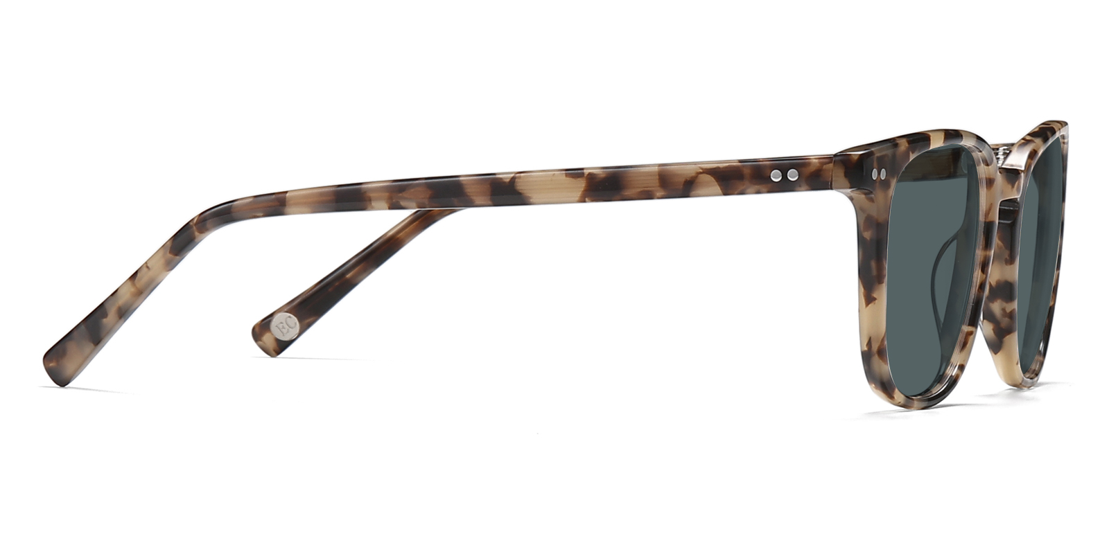 S9881TL-Orwin-schildpad