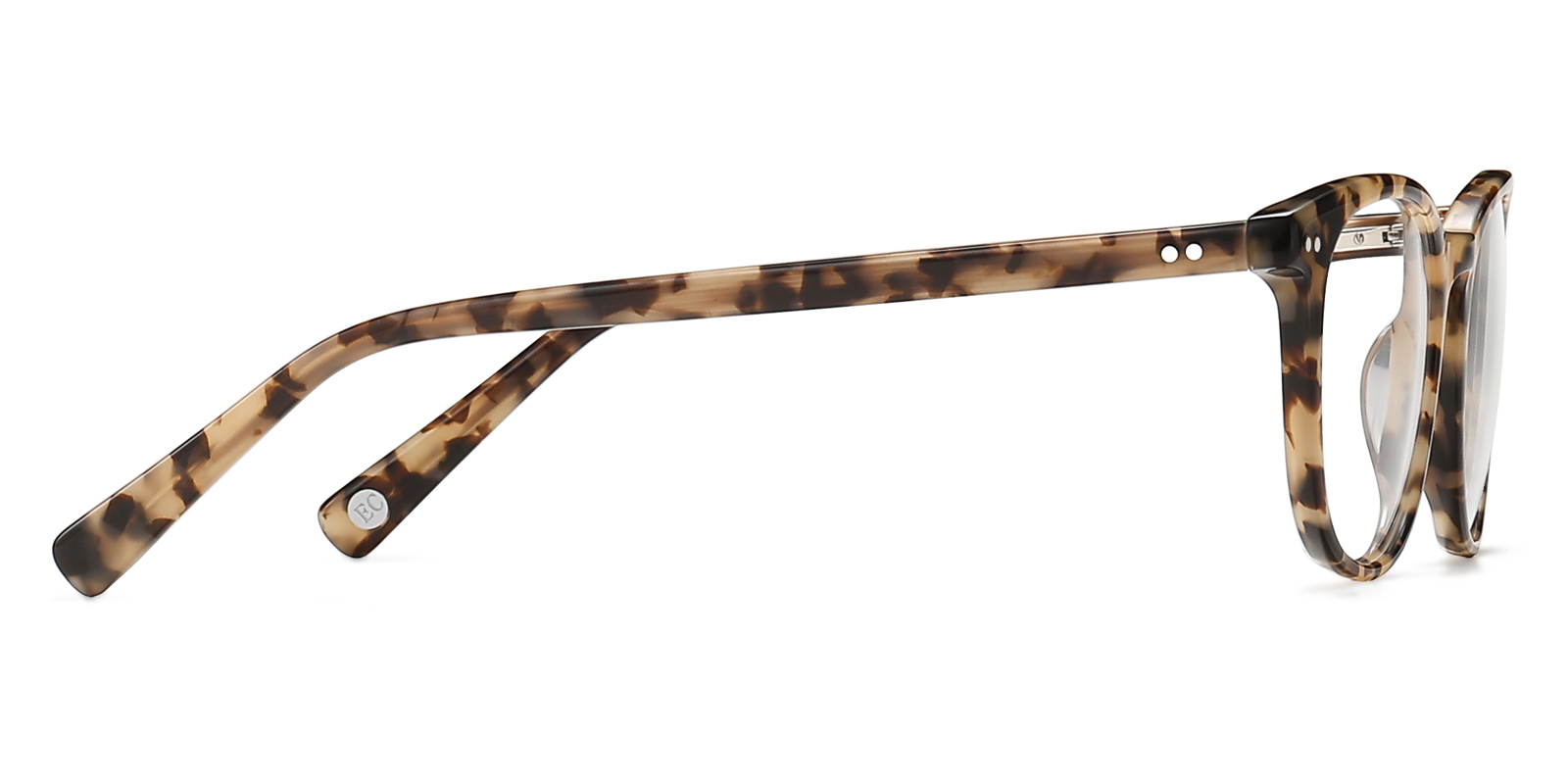 8991TL-Zuter-schildpad