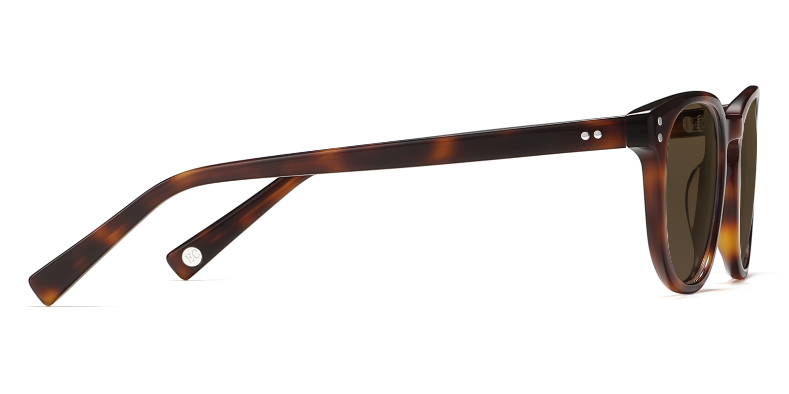 S8995TL-Kodie-schildpad