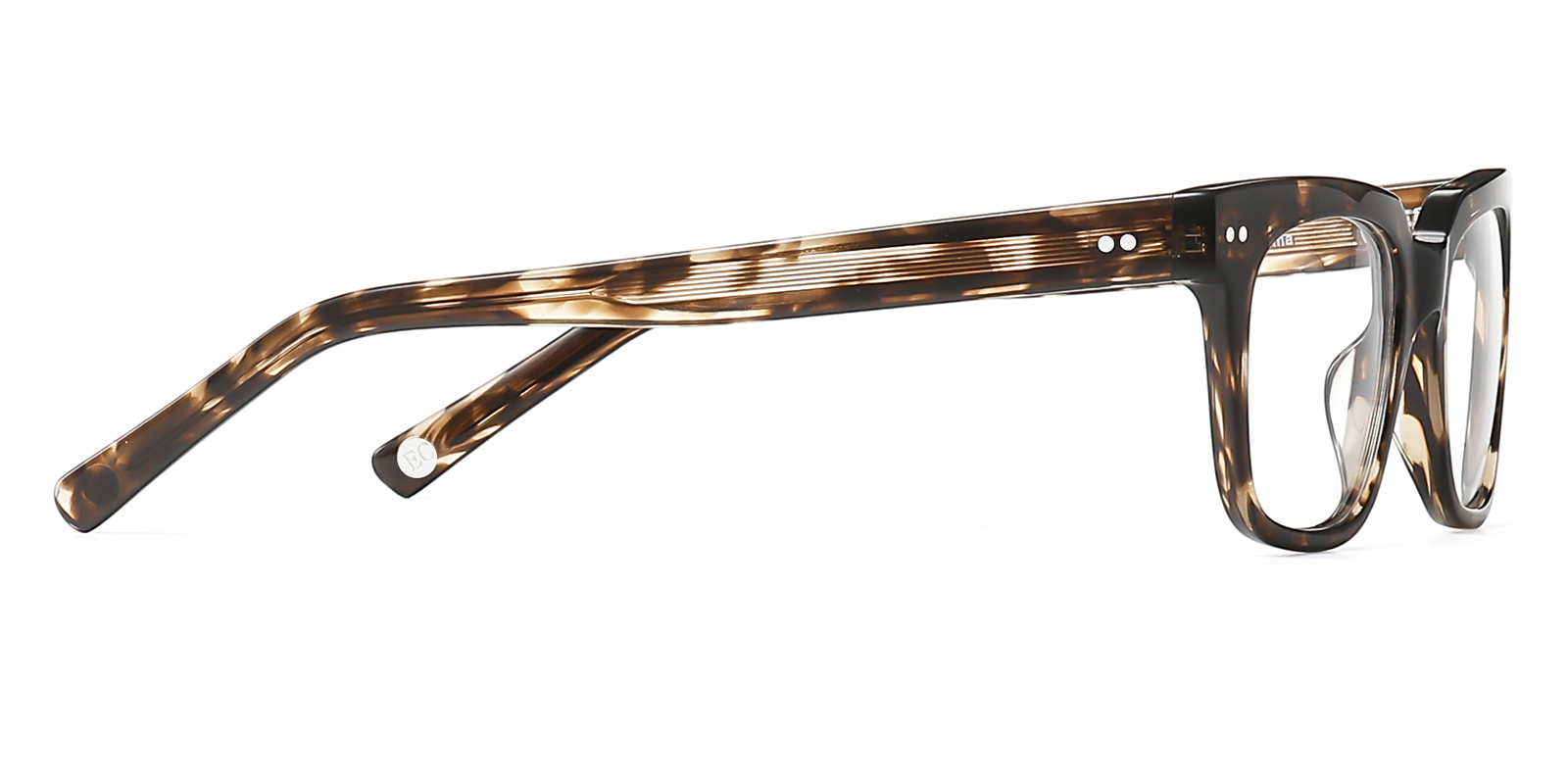 8885TL-Hugu-schildpad