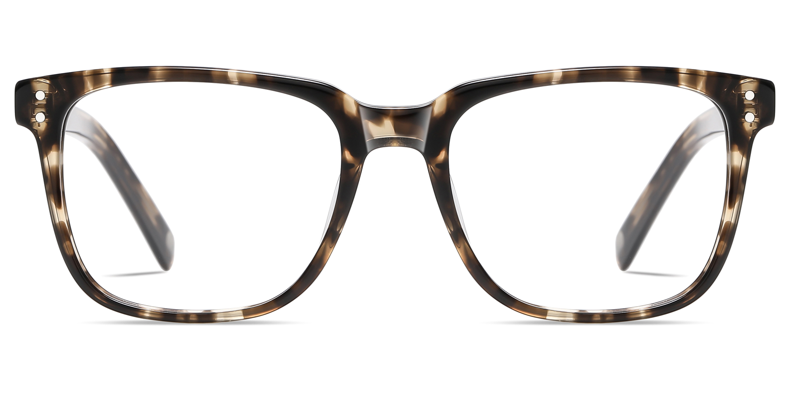 8986TL-Ogens-schildpad