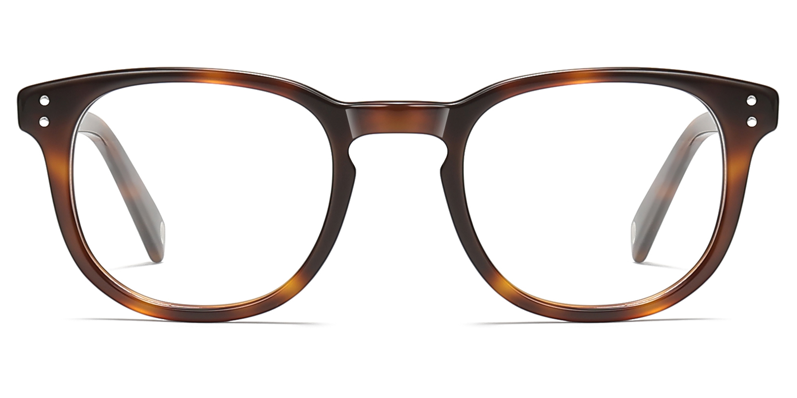 8995TL-Kodie-schildpad