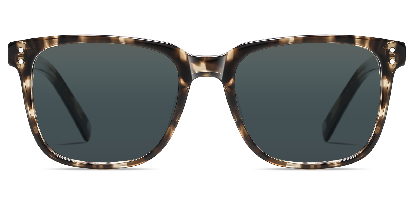 S8986TL-Ogens-schildpad