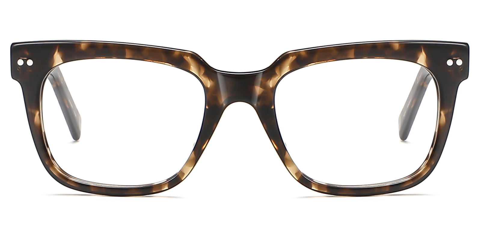 8885TL-Hugu-schildpad