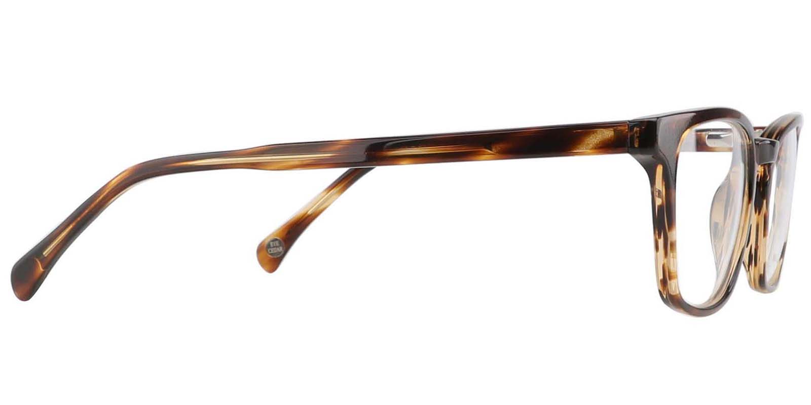 EYE8020-1-Spans-bruin