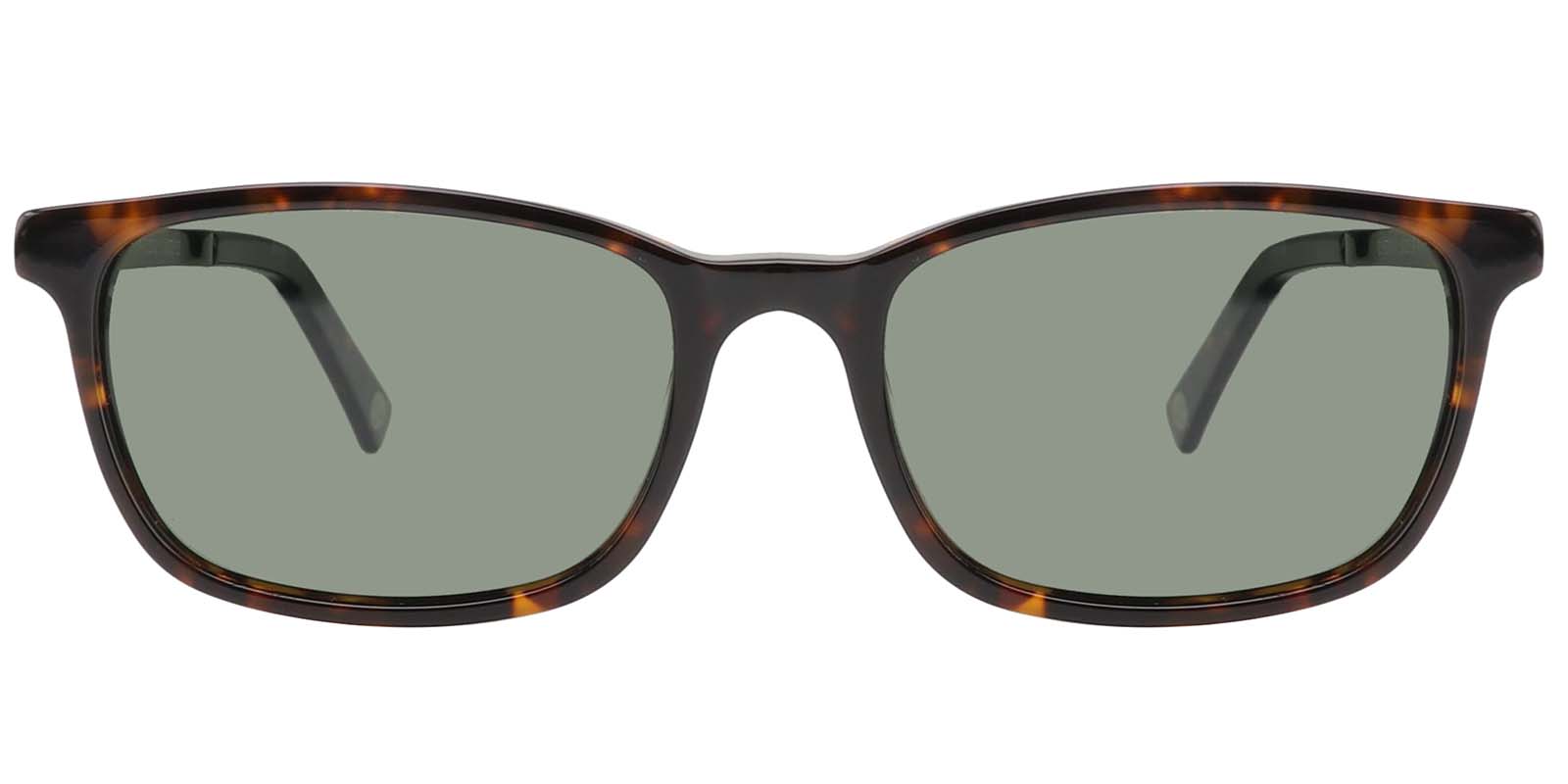 EYE8017-2S-Inkan -schildpad