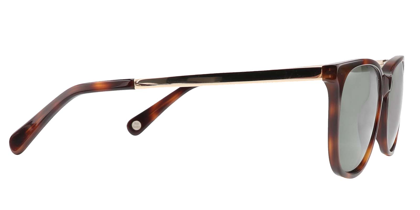 EYE8005-1S-Spolia-schildpad