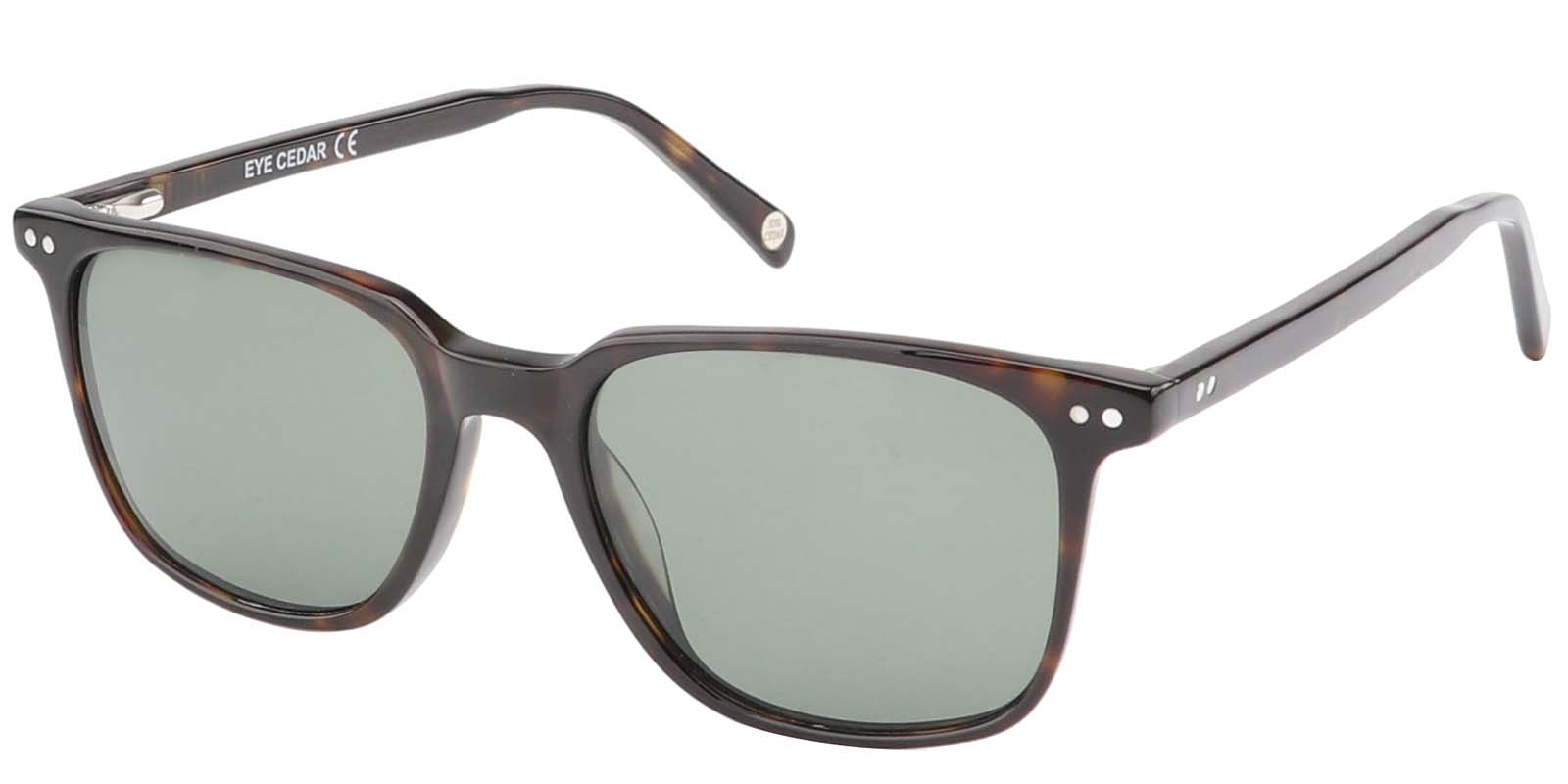 EYE8071S-Noirrin-schildpad