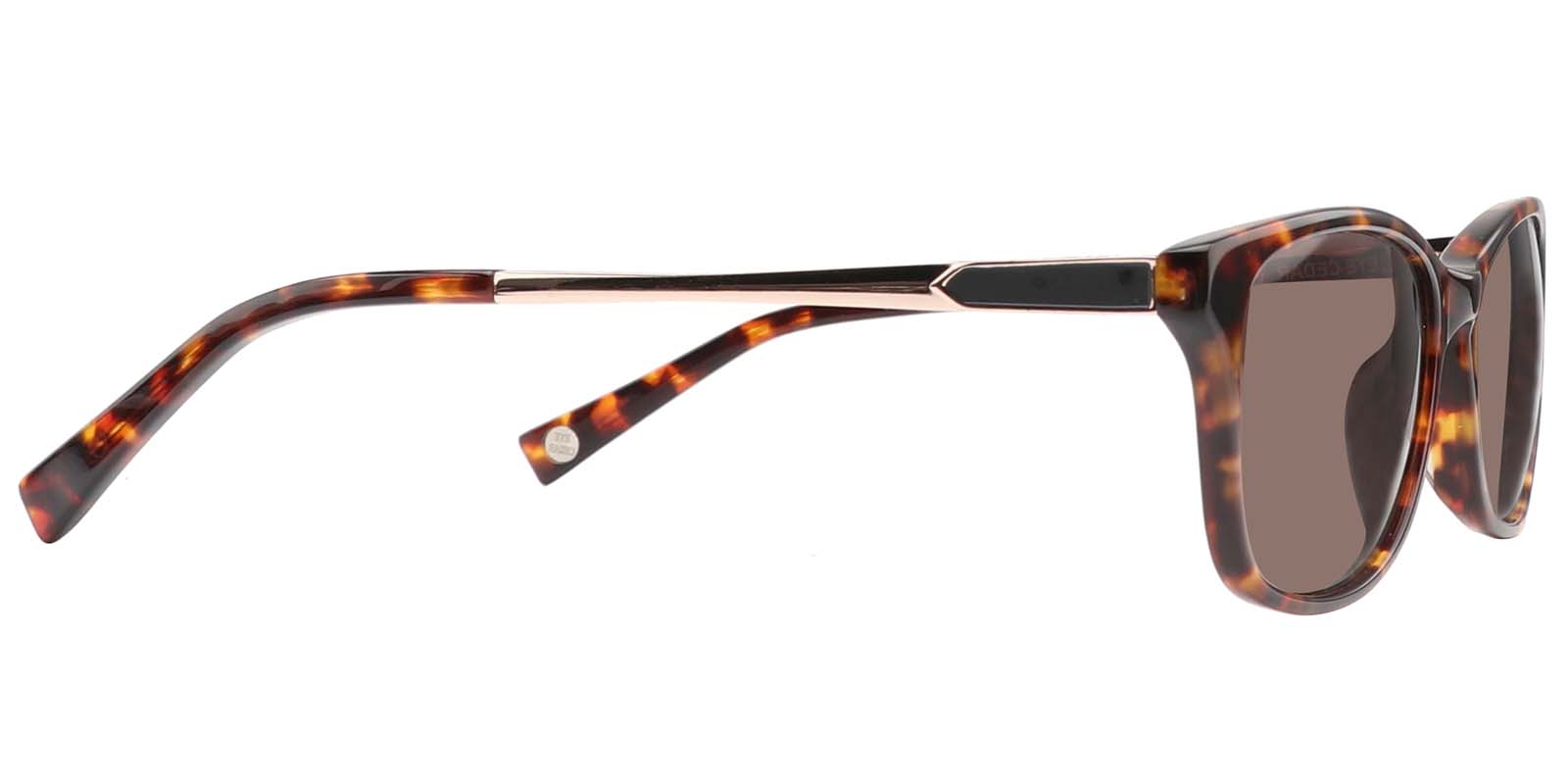 EYE8029S-Varemoda-bruin