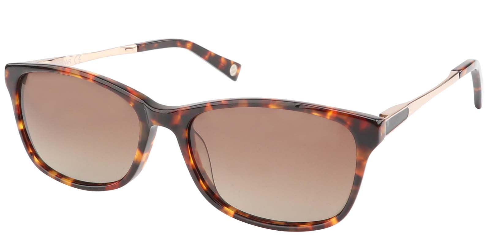 EYE8029S-Varemoda-bruin