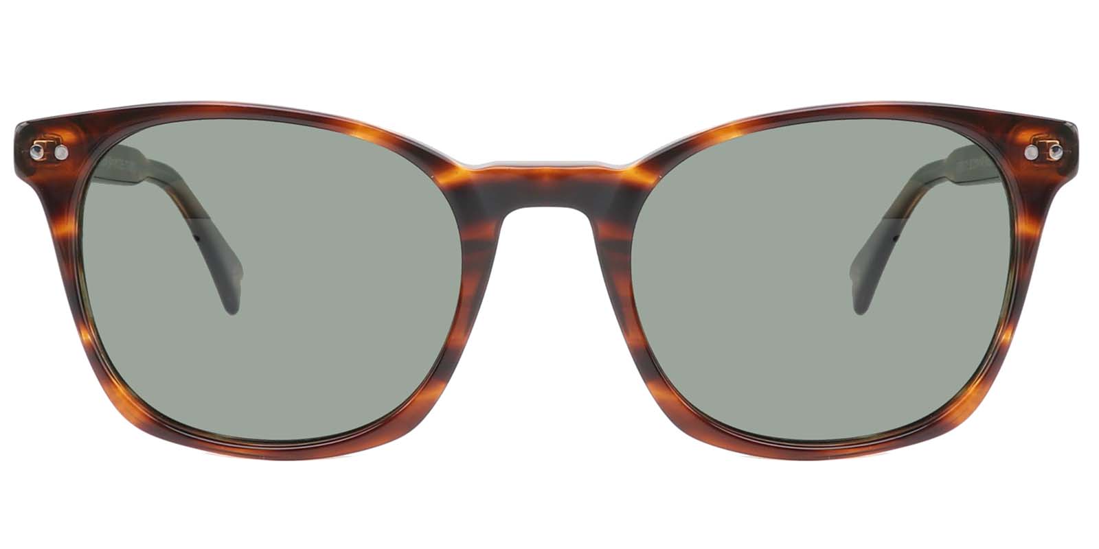 EYE8077-1S-Micoc-bruin1