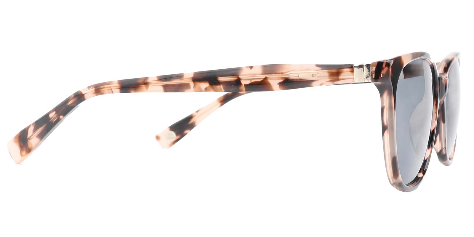 EYE8052S-Aurople-schildpad 1